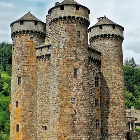 Maison De Charme Renovee Avec Terrasse Et Cheminee, Proche Randos Et Chateaux - Tournemire - Fr-1-742-222